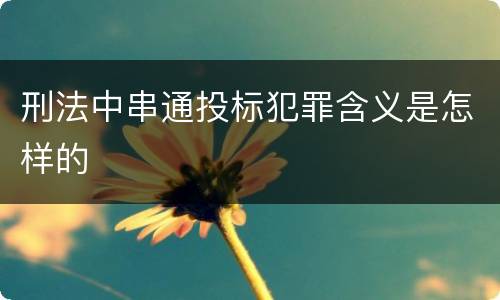 刑法中串通投标犯罪含义是怎样的