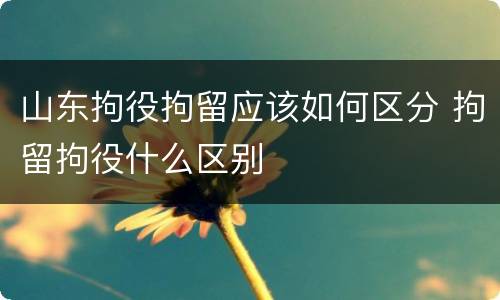 山东拘役拘留应该如何区分 拘留拘役什么区别