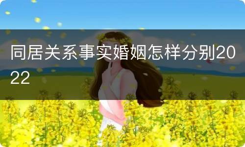同居关系事实婚姻怎样分别2022