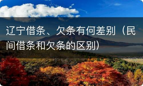 辽宁借条、欠条有何差别（民间借条和欠条的区别）