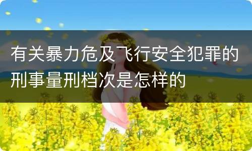 有关暴力危及飞行安全犯罪的刑事量刑档次是怎样的