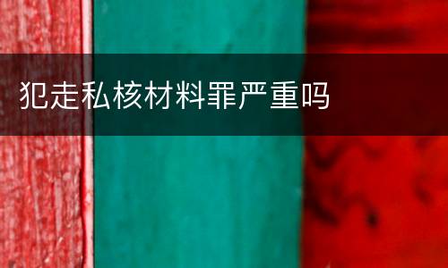 犯走私核材料罪严重吗