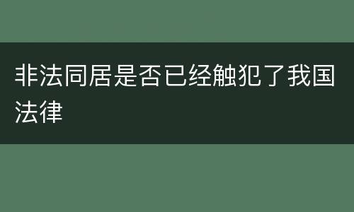 非法同居是否已经触犯了我国法律