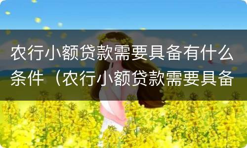 农行小额贷款需要具备有什么条件（农行小额贷款需要具备有什么条件才能贷）