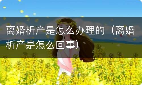 离婚析产是怎么办理的（离婚析产是怎么回事）