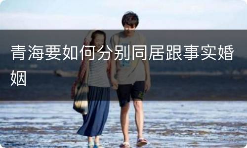 青海要如何分别同居跟事实婚姻