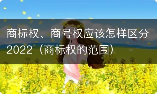商标权、商号权应该怎样区分2022（商标权的范围）
