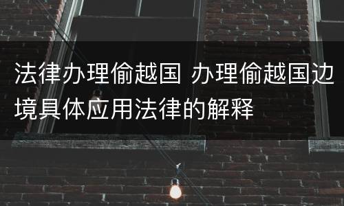法律办理偷越国 办理偷越国边境具体应用法律的解释