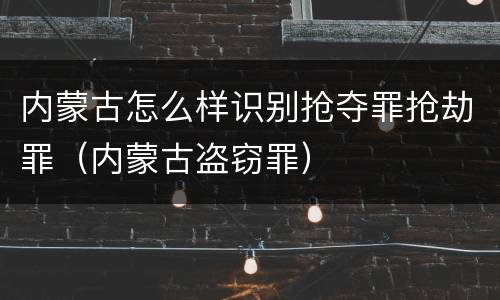 内蒙古怎么样识别抢夺罪抢劫罪（内蒙古盗窃罪）