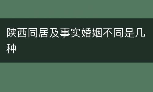 陕西同居及事实婚姻不同是几种