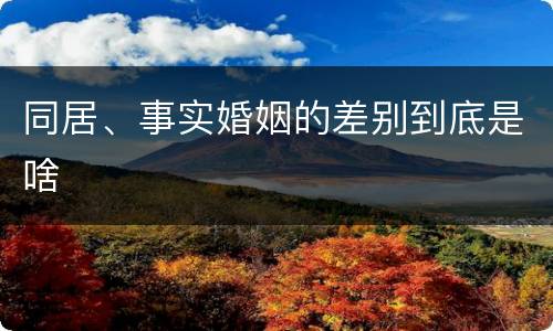 同居、事实婚姻的差别到底是啥