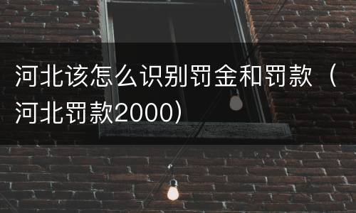 河北该怎么识别罚金和罚款（河北罚款2000）