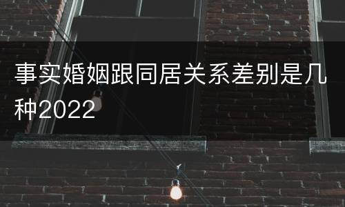 事实婚姻跟同居关系差别是几种2022
