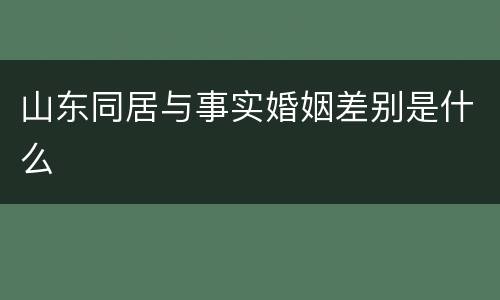 山东同居与事实婚姻差别是什么