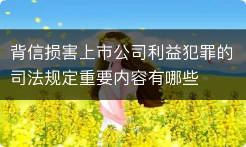 背信损害上市公司利益犯罪的司法规定重要内容有哪些