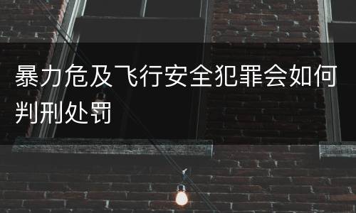 暴力危及飞行安全犯罪会如何判刑处罚