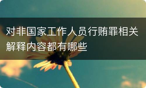 对非国家工作人员行贿罪相关解释内容都有哪些
