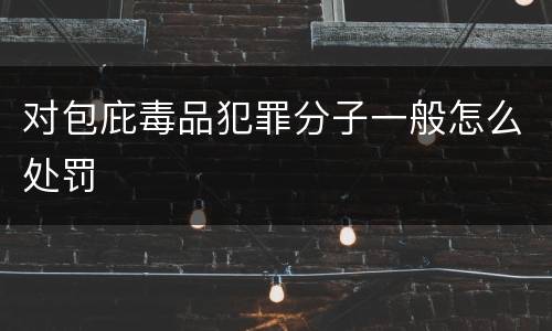 对包庇毒品犯罪分子一般怎么处罚