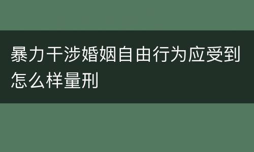暴力干涉婚姻自由行为应受到怎么样量刑