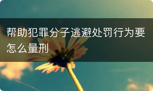 帮助犯罪分子逃避处罚行为要怎么量刑