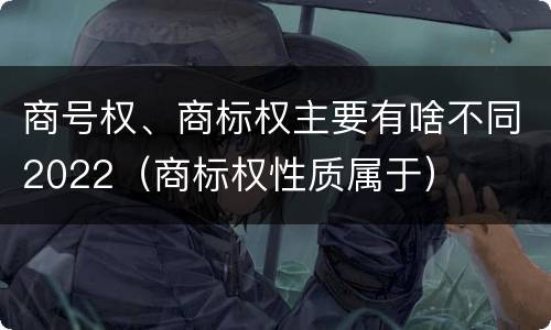 商号权、商标权主要有啥不同2022（商标权性质属于）