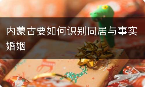 内蒙古要如何识别同居与事实婚姻