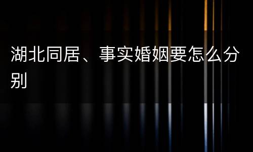 湖北同居、事实婚姻要怎么分别
