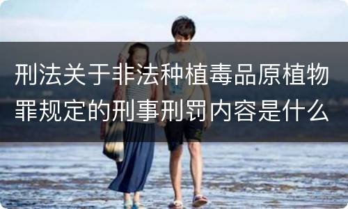 刑法关于非法种植毒品原植物罪规定的刑事刑罚内容是什么