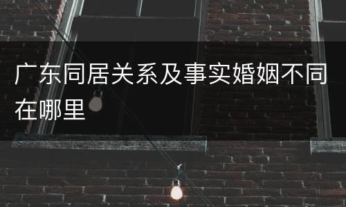 广东同居关系及事实婚姻不同在哪里