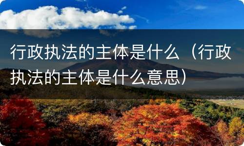 行政执法的主体是什么（行政执法的主体是什么意思）