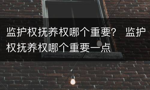 监护权抚养权哪个重要？ 监护权抚养权哪个重要一点