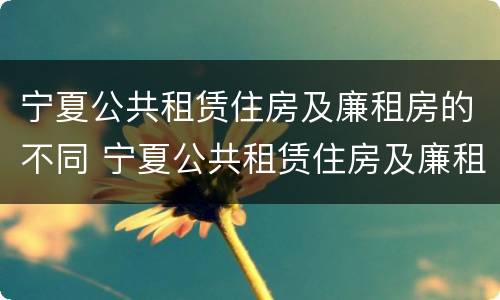 宁夏公共租赁住房及廉租房的不同 宁夏公共租赁住房及廉租房的不同条件