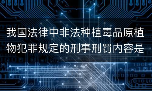 我国法律中非法种植毒品原植物犯罪规定的刑事刑罚内容是怎样的