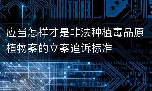 应当怎样才是非法种植毒品原植物案的立案追诉标准