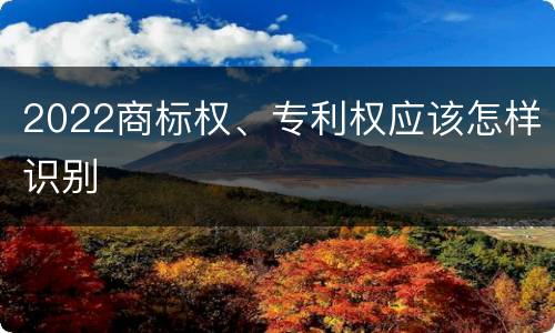 2022商标权、专利权应该怎样识别