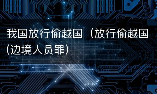 我国放行偷越国（放行偷越国(边境人员罪）