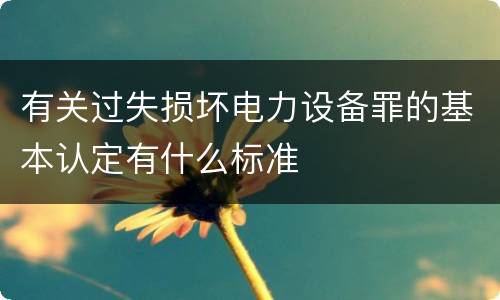 有关过失损坏电力设备罪的基本认定有什么标准