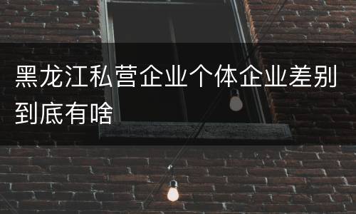 黑龙江私营企业个体企业差别到底有啥