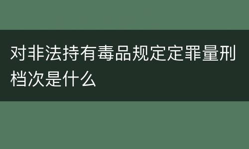 对非法持有毒品规定定罪量刑档次是什么