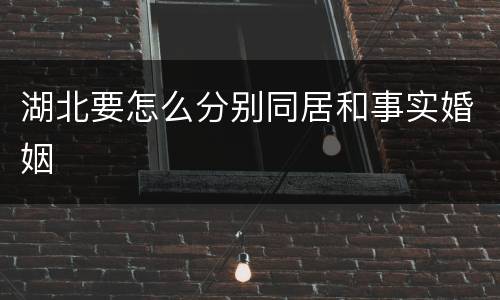 湖北要怎么分别同居和事实婚姻