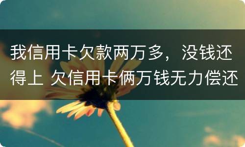 我信用卡欠款两万多，没钱还得上 欠信用卡俩万钱无力偿还怎么办