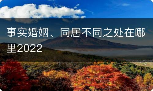 事实婚姻、同居不同之处在哪里2022