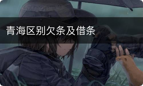 青海区别欠条及借条