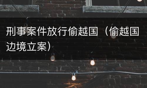 刑事案件放行偷越国（偷越国边境立案）