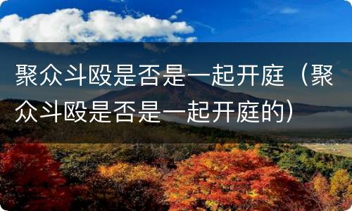 聚众斗殴是否是一起开庭（聚众斗殴是否是一起开庭的）