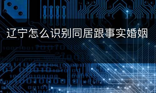 辽宁怎么识别同居跟事实婚姻