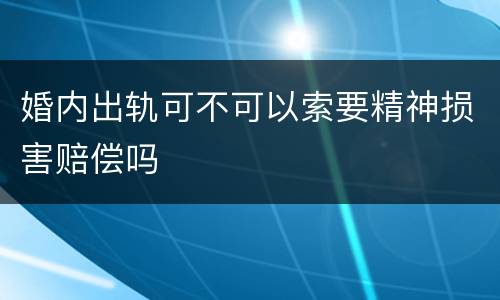 婚内出轨可不可以索要精神损害赔偿吗