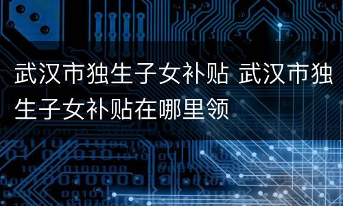 武汉市独生子女补贴 武汉市独生子女补贴在哪里领