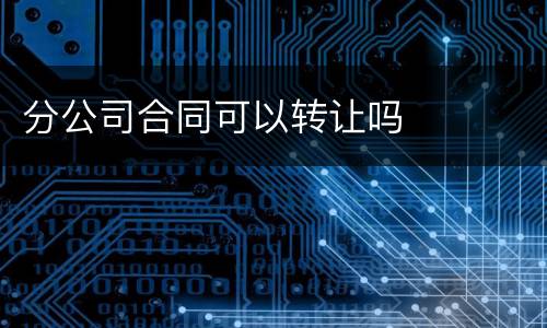 分公司合同可以转让吗