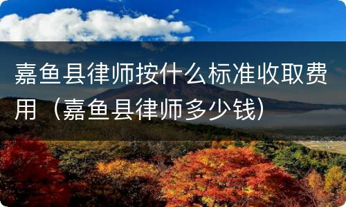 嘉鱼县律师按什么标准收取费用（嘉鱼县律师多少钱）